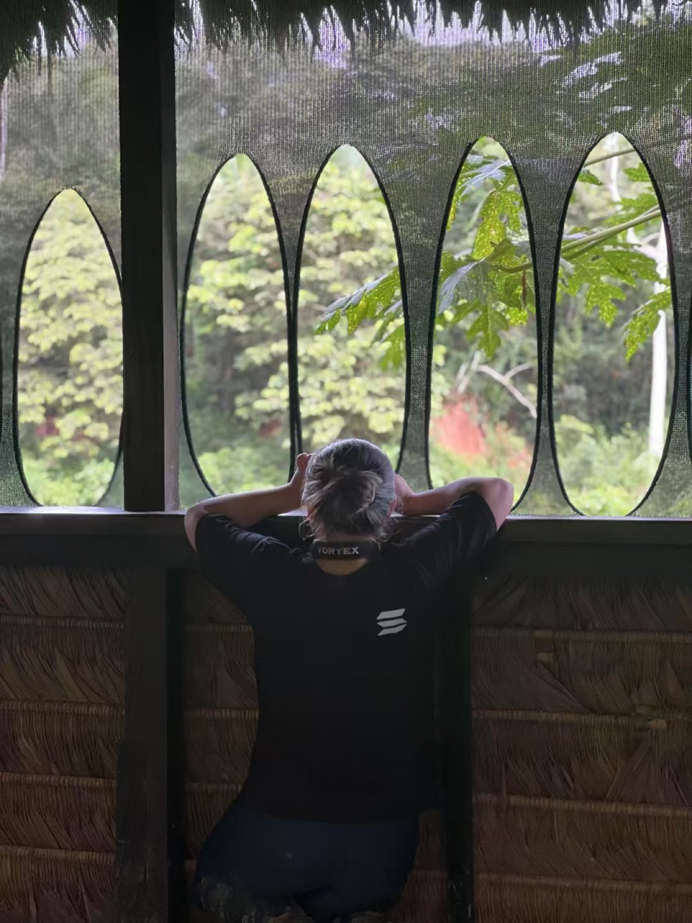 birdwatching, Amazon